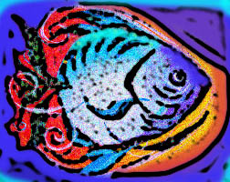 fish image